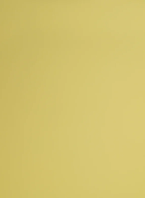 303